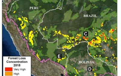 MAAP: First large-scale Western Amazon Analysis