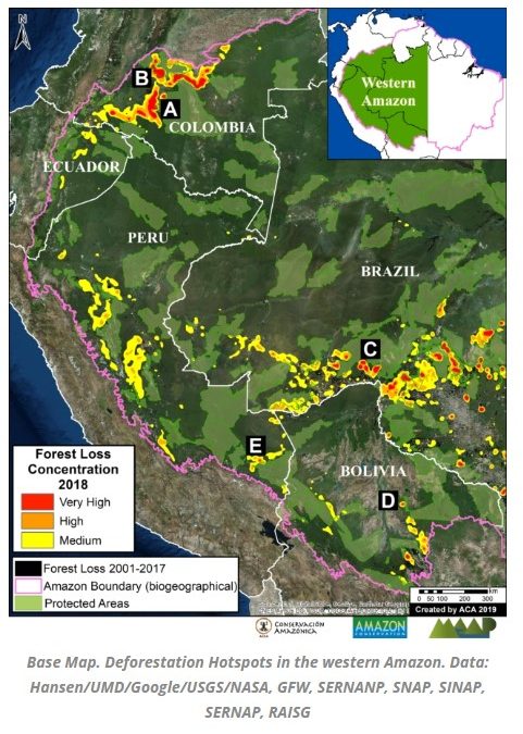MAAP: Primer análisis a gran escala de la Amazonía Occidental