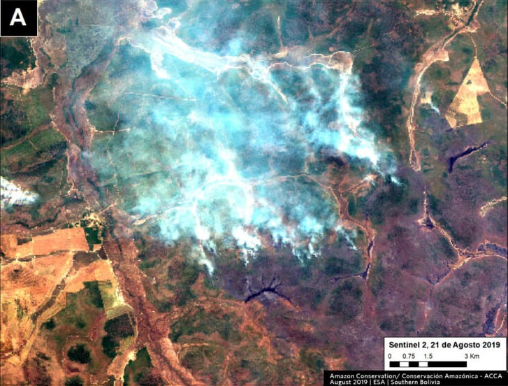 What is going on with the Fires in the southwestern Amazon? A short assessment by SERVIR-Amazonia