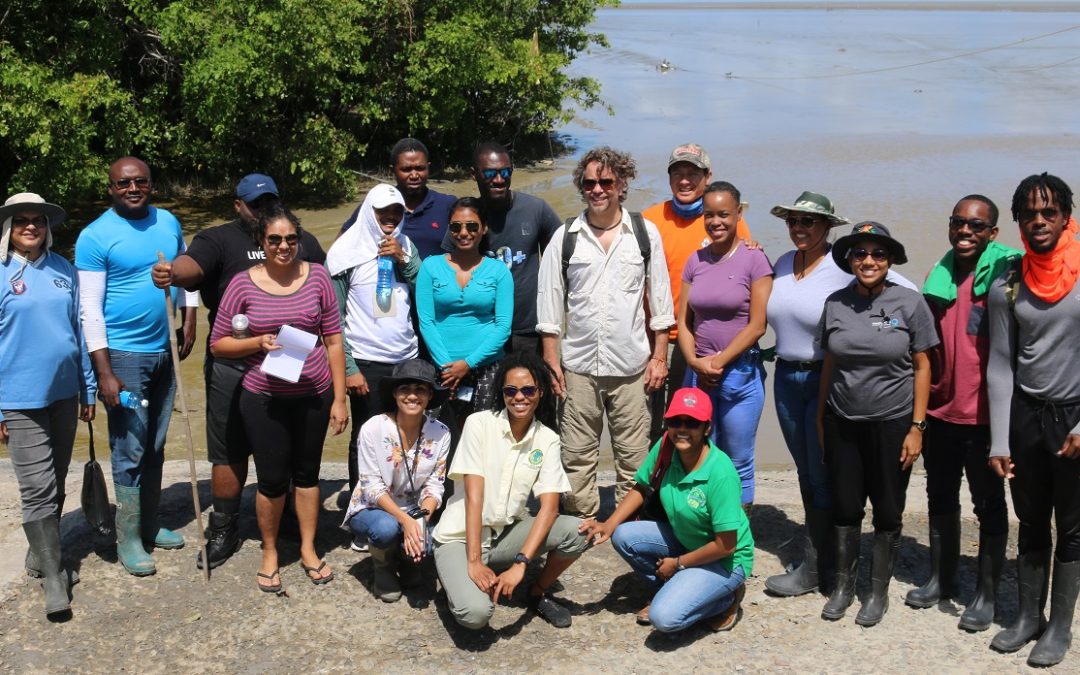 Protecting the natural seawall of Guyana with a sustained monitoring and evaluation systems of mangrove forests