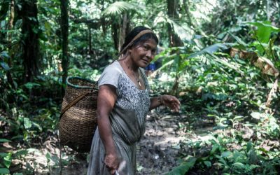 SERVIR-Amazonia recruits short-term gender consultant