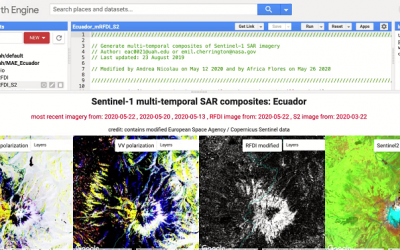 Enhancing emission estimations from the Forest Sector in Ecuador