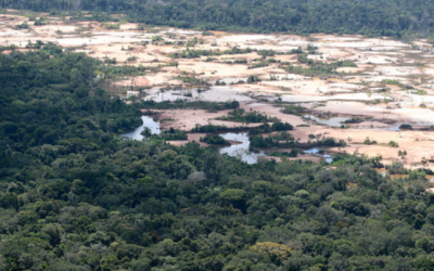 Fortaleciendo el monitoreo de bosques amazónicos de Madre de Dios para conocer el impacto real de la minería ilegal