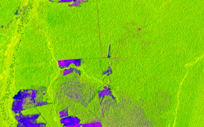 ClimateLinks features SERVIR-Amazonia work on Mapping Forest Degradation Using Cloud-Penetrating Satellite Imagery