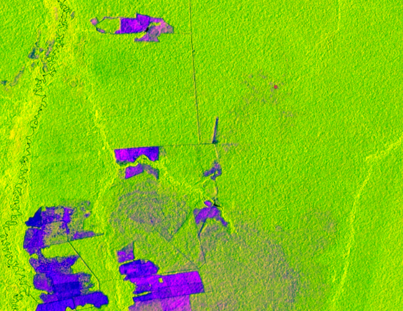 ClimateLinks features SERVIR-Amazonia work on Mapping Forest Degradation Using Cloud-Penetrating Satellite Imagery