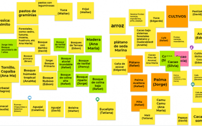 Fomentando el uso de tecnologías geoespaciales para prácticas agrícolas sostenibles en cultivos de cacao y palma aceitera en Perú