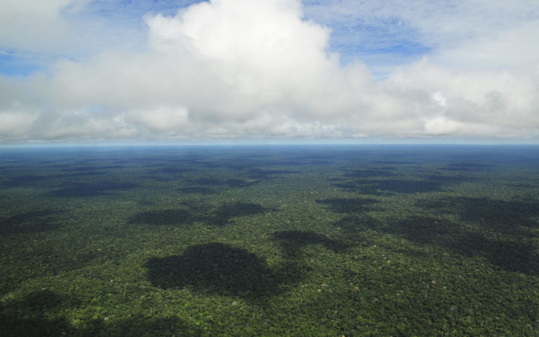 Aumentando a Conservação da Floresta Amazônica com Softwares GeoEspaciais
