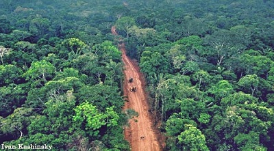 Webinar: Carreteras en la Amazonía – Perspectivas de la Frontera Perú-Brasil