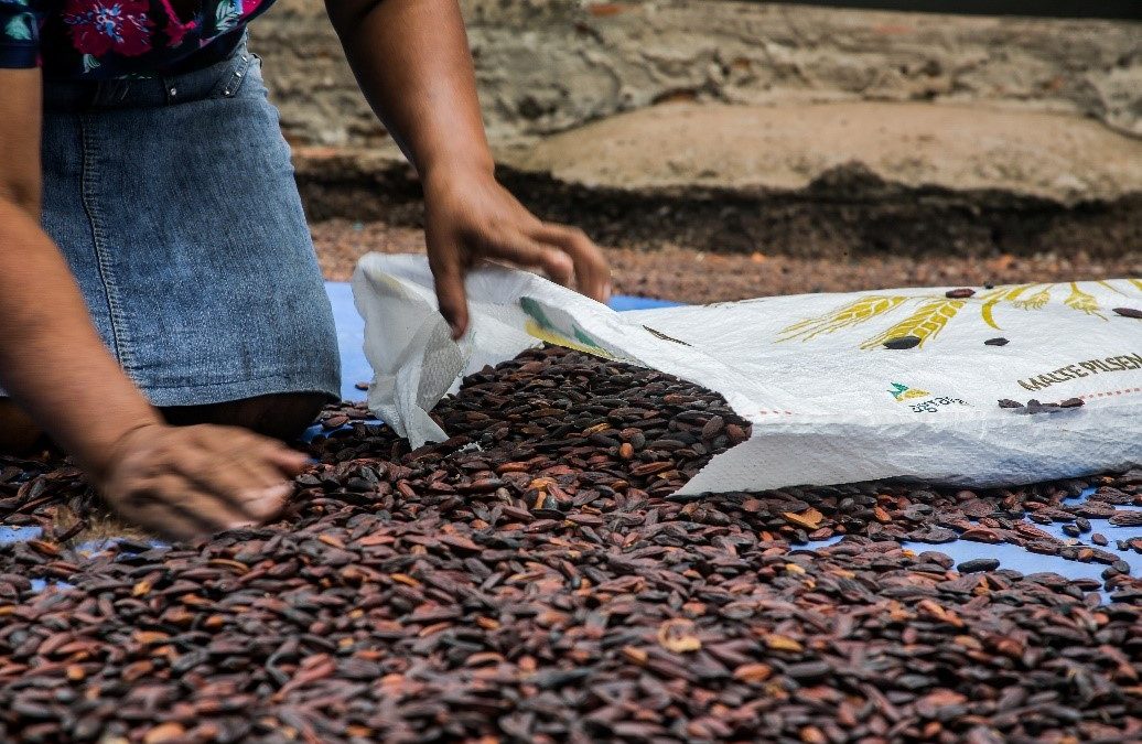 Women farmers and extractivists in the Amazon, what can a GIS tool add to their lives?