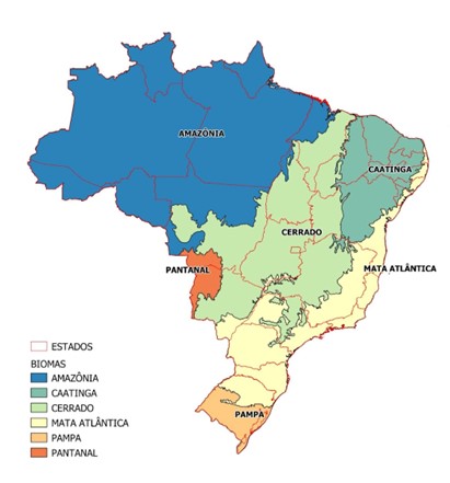 Improving Forest Classification of the Brazilian National Forest Inventory using the CEO Platform