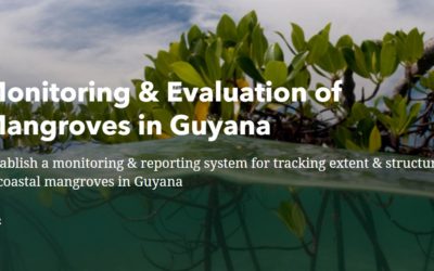 Monitoring & Evaluation of Mangroves in Guyana
