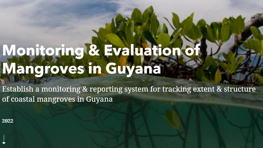 Monitoring & Evaluation of Mangroves in Guyana