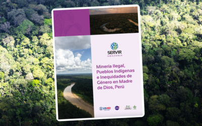 Más allá de deforestar y contaminar, la minería ilegal impacta en las relaciones de género: hallazgos de un estudio en Madre de Dios, Perú