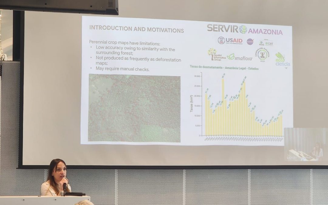 Imaflora participated in the GeoforGood Mini Summit 2024 event